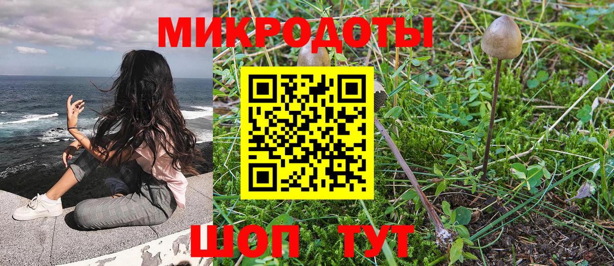 Псилоцибиновые грибы Cubensis Похвистнево