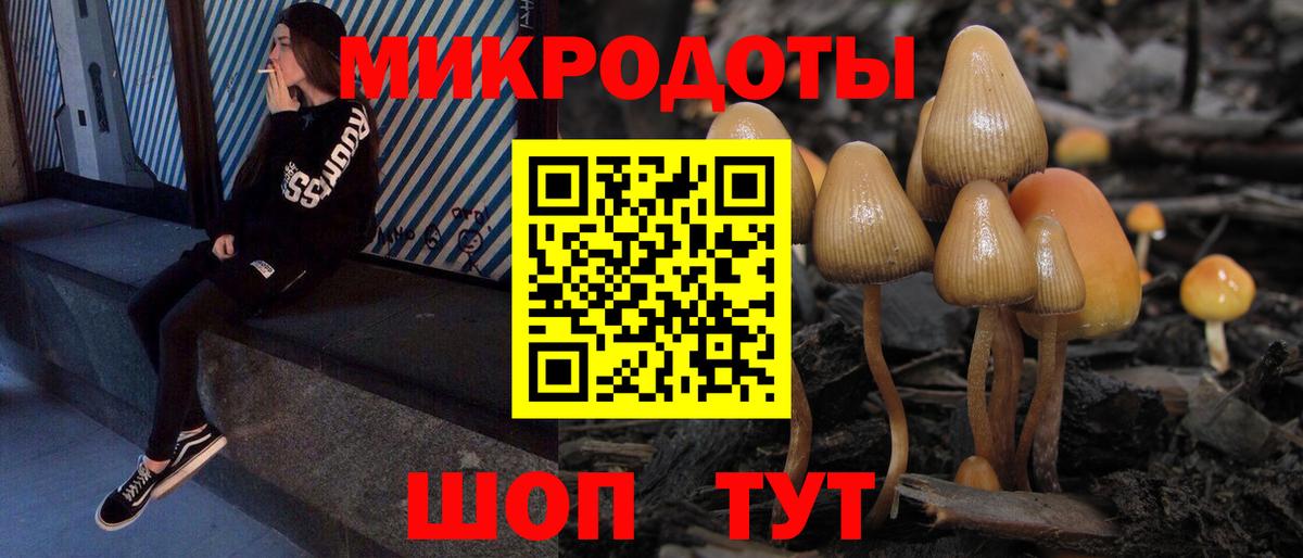 Галлюциногенные грибы Cubensis  Псилоцибиновые грибы прущие грибы  Похвистнево  где купить наркотик  Вход с VPN 